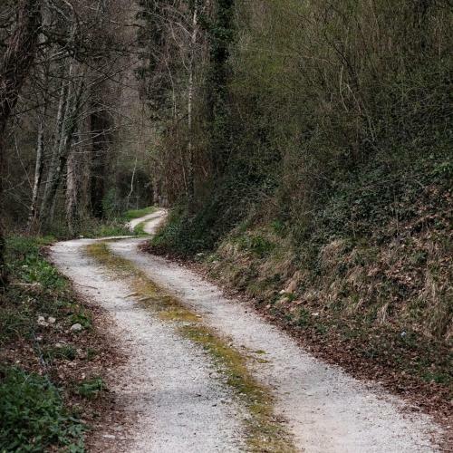 Agroturismo Agriturismo Il Casaletto