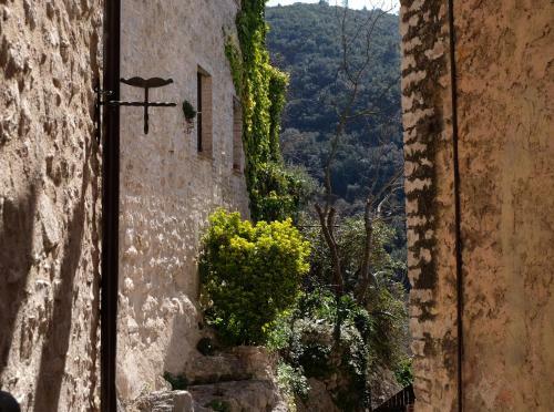 Agroturismo Agriturismo Il Casaletto