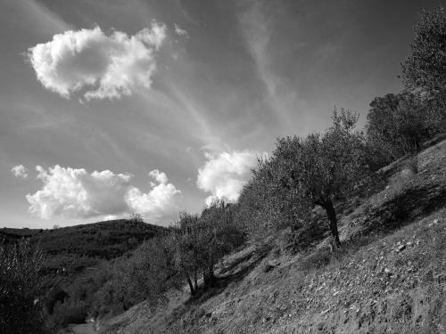 Agroturismo Agriturismo Il Casaletto