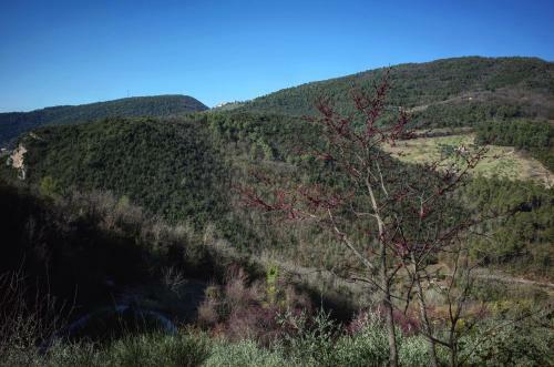Agroturismo Agriturismo Il Casaletto