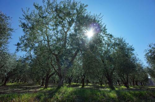 Agroturismo Agriturismo Il Casaletto