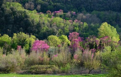 Agroturismo Agriturismo Il Casaletto