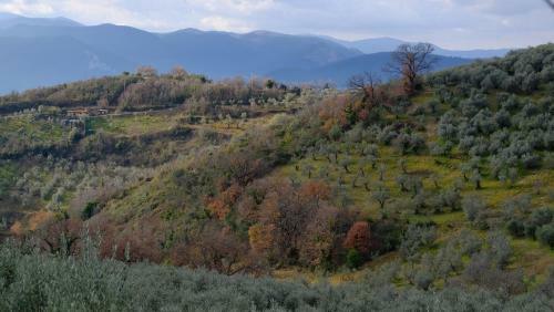 Agroturismo Agriturismo Il Casaletto