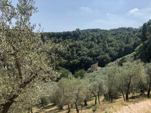 Agroturismo Agriturismo Il Casaletto
