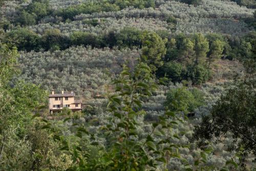 Agroturismo Agriturismo Il Casaletto
