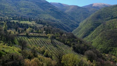 Agroturismo Agriturismo Il Casaletto