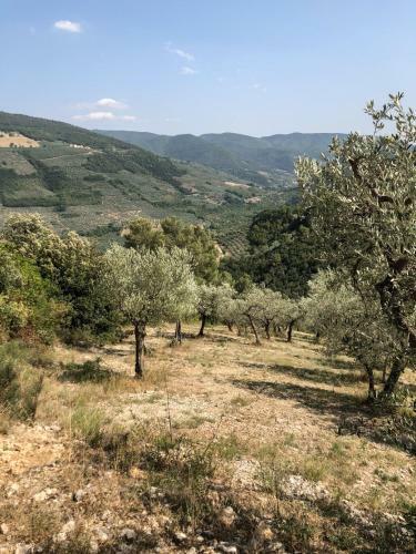 Agroturismo Agriturismo Il Casaletto