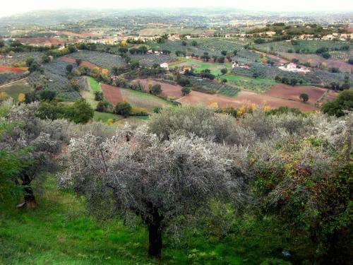 Apartamento Vecchio Forno Casa Vacanze