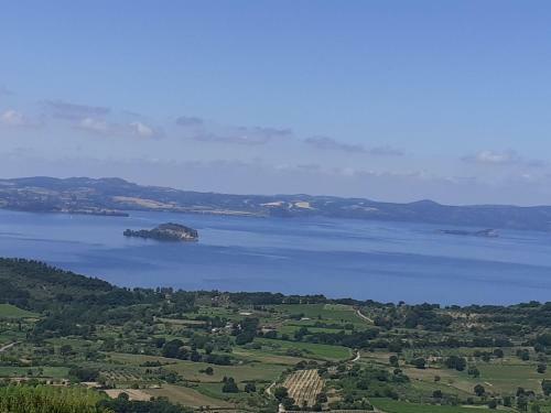 Belvedere