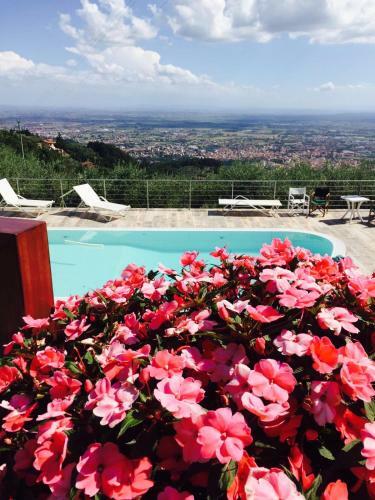 Apartamento Villa L'uliveta