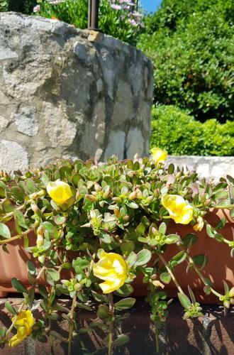 Apartamento Villa Adry
