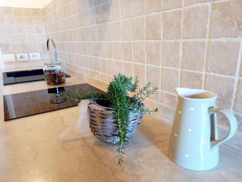 Apartamento Agriturismo Fonteregia
