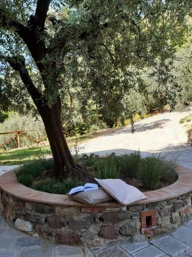 Apartamento Agriturismo Fonteregia