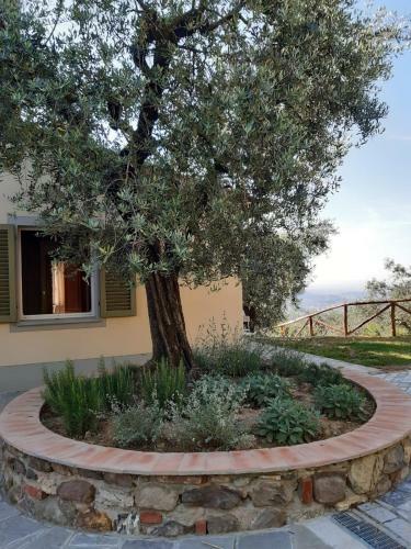 Apartamento Agriturismo Fonteregia
