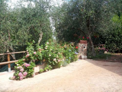 Apartamento Casa Contornata Da Olivi