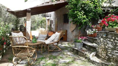 Apartamento Casa Contornata Da Olivi