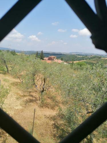 La Casa Delle Rondini