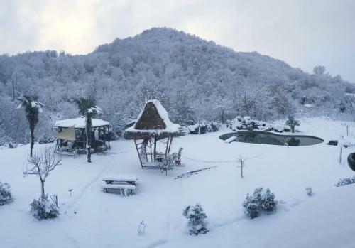 Bed & Breakfast Villa Aresini