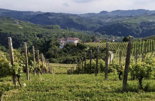 Apartamento Madama Langa Country House