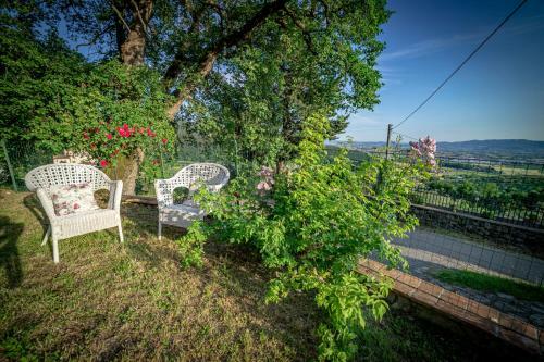 Apartamento Casa Delle Rose