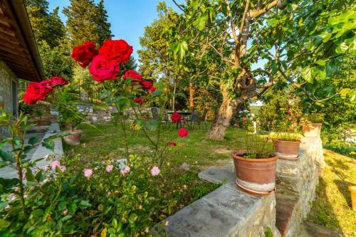 Apartamento Casa Delle Rose