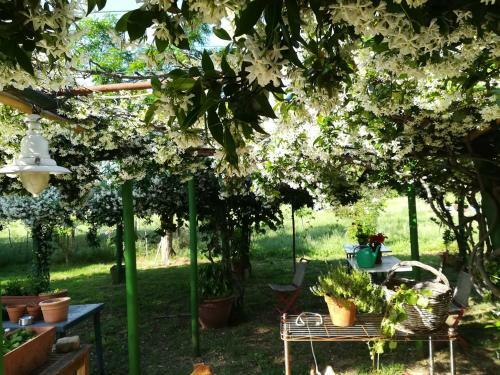 Agroturismo Da Pino