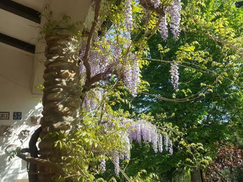 Bed & Breakfast La Meridiana House