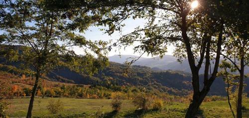 Bed & Breakfast La Meridiana House