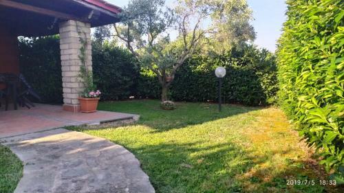 Apartamento Agricampolungo Monterosi