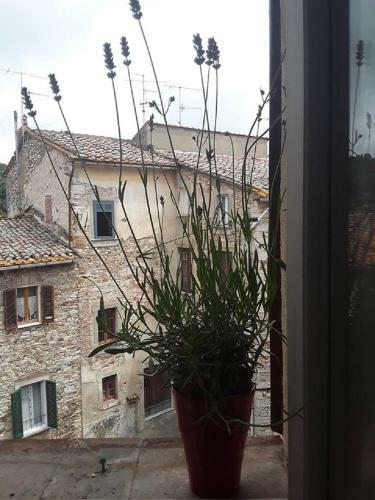Apartamento Cuore Di Toscana