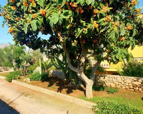 Apartamento Villa Sargheruoli