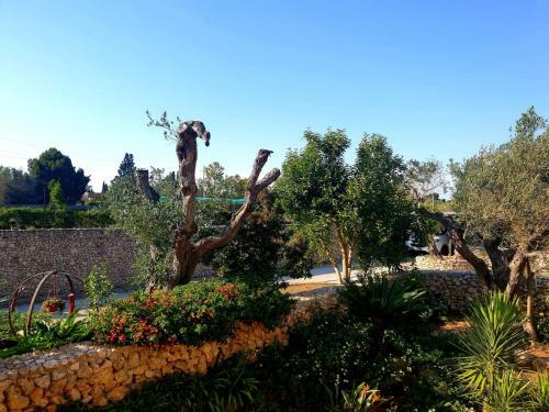 Apartamento Villa Sargheruoli