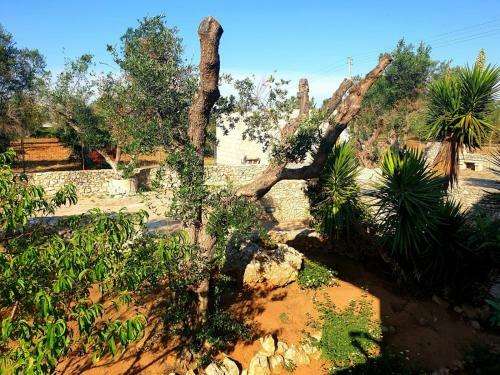Apartamento Villa Sargheruoli