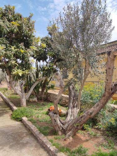 Apartamento Villa Sargheruoli