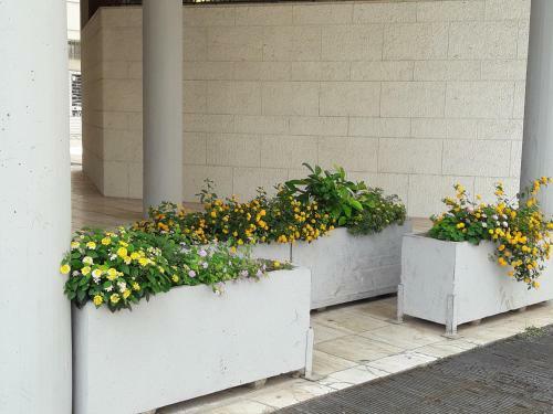 I Fiori Di Lucrezia