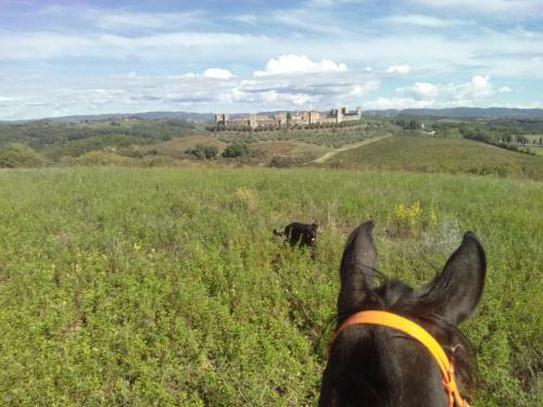 Apartamento Il Mandorlo Di Monteriggioni
