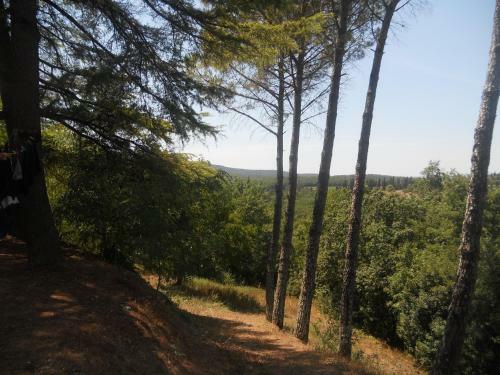 Apartamento Castellino4holidays
