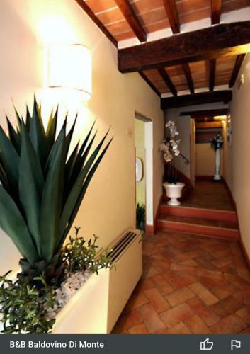B&B - Baldovino Di Monte