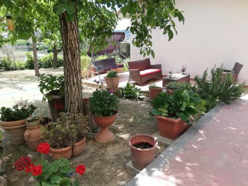 Apartamento Appartamento A Monte San Savino **** Casa Al Vento