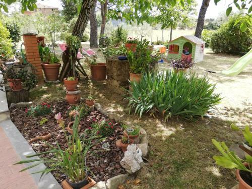 Apartamento Appartamento A Monte San Savino **** Casa Al Vento