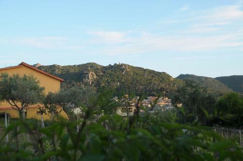 Il Ciliegio Apartment