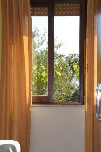Il Ciliegio Apartment