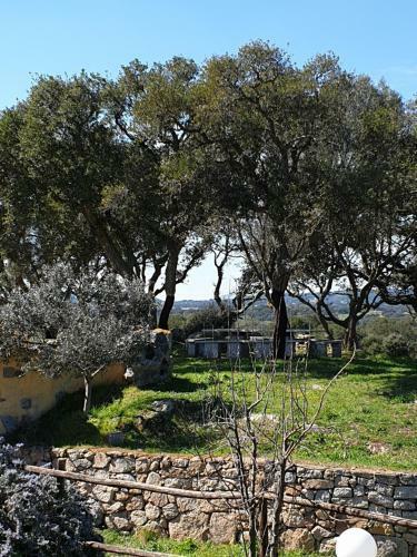 Bed & Breakfast Cantina Perandria