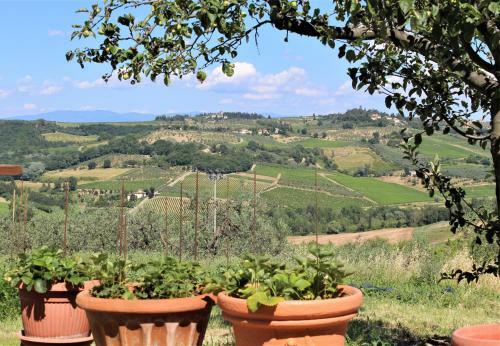 Agroturismo Casa Le Betulle