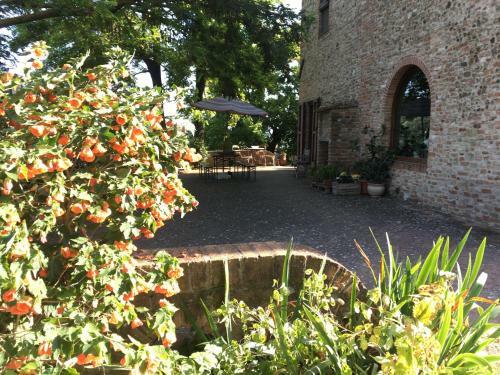 Bed & Breakfast Podere Sanripoli