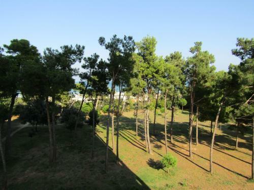 Apartamento Casamare Royal