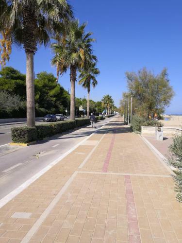 Apartamento Casamare Royal