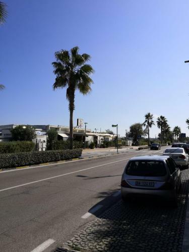 Apartamento Casamare Royal