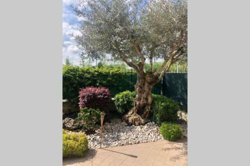 Apartamento La Casa Di Leo