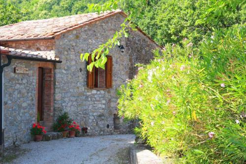 Apartment In Montieri/toskana 38264